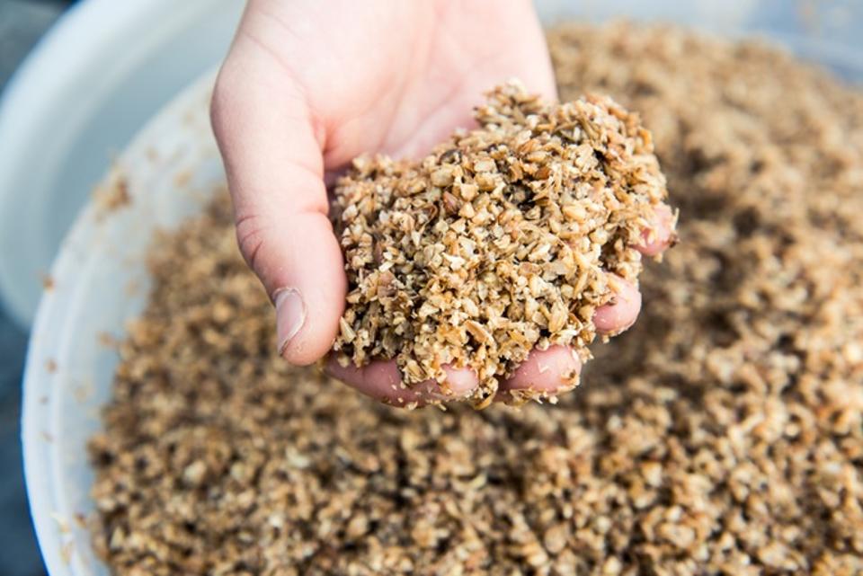 Regrained upcycles spent brewing grains into granola bars and snack puffs.