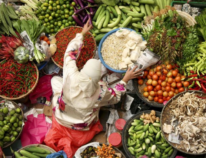 Investigación sobre el cámbio climático y la seguridad alimentaria Estudios de la EFSA