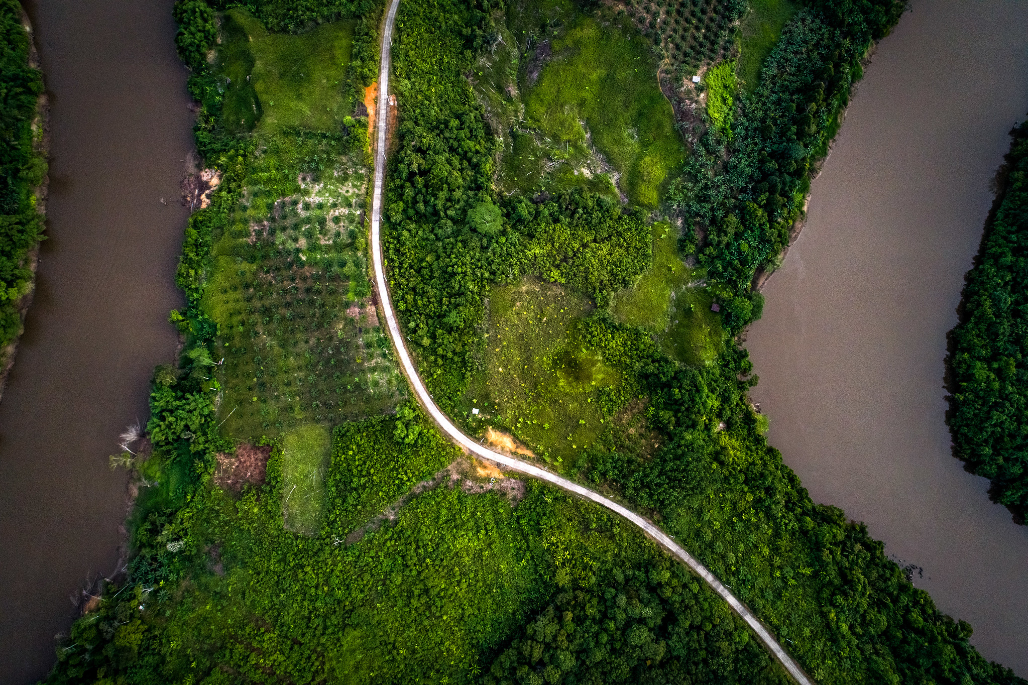 <p>Aerial view of the forest in East Kalimantan, home to a growing palm oil industry. Photo by Nanang Sujana/CIFOR.</p>