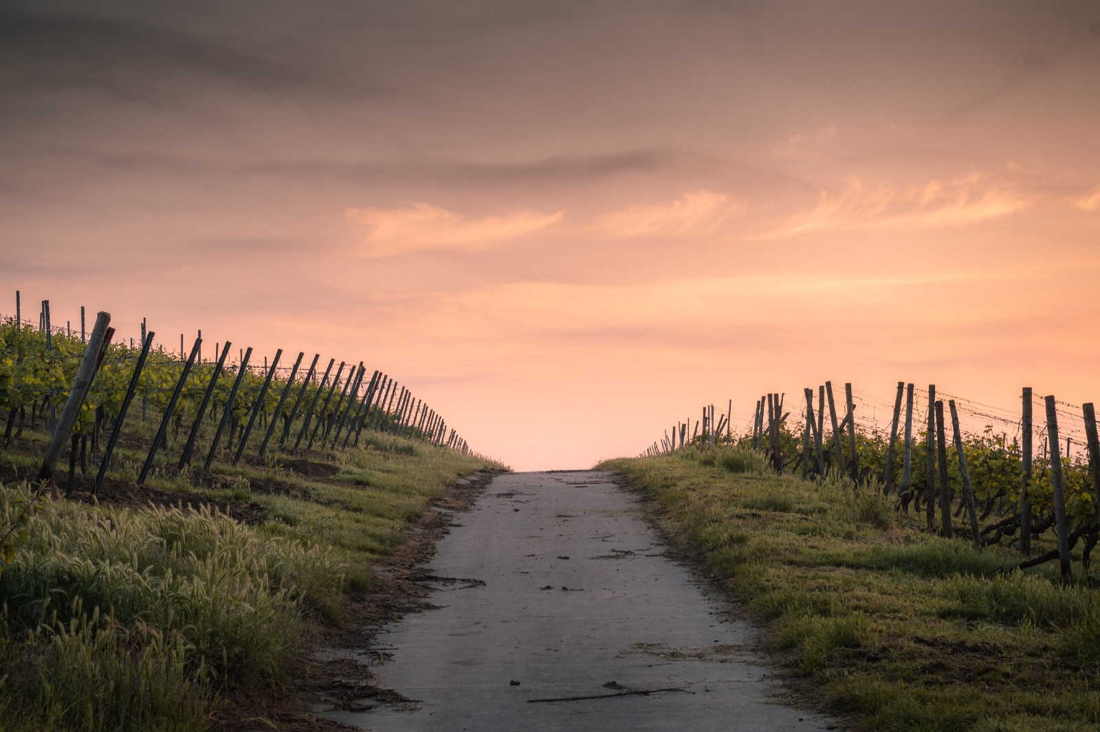beach beach path