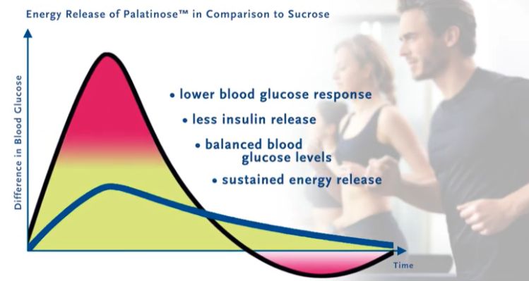 palatinose benefits