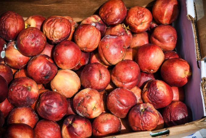 Se presenta la primera marca de certificación del mundo para para alimentos y bebidas con ingredientes reciclados Certificación UFA