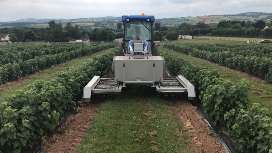This UK startup raised €6.5m to commit electricide on weeds
