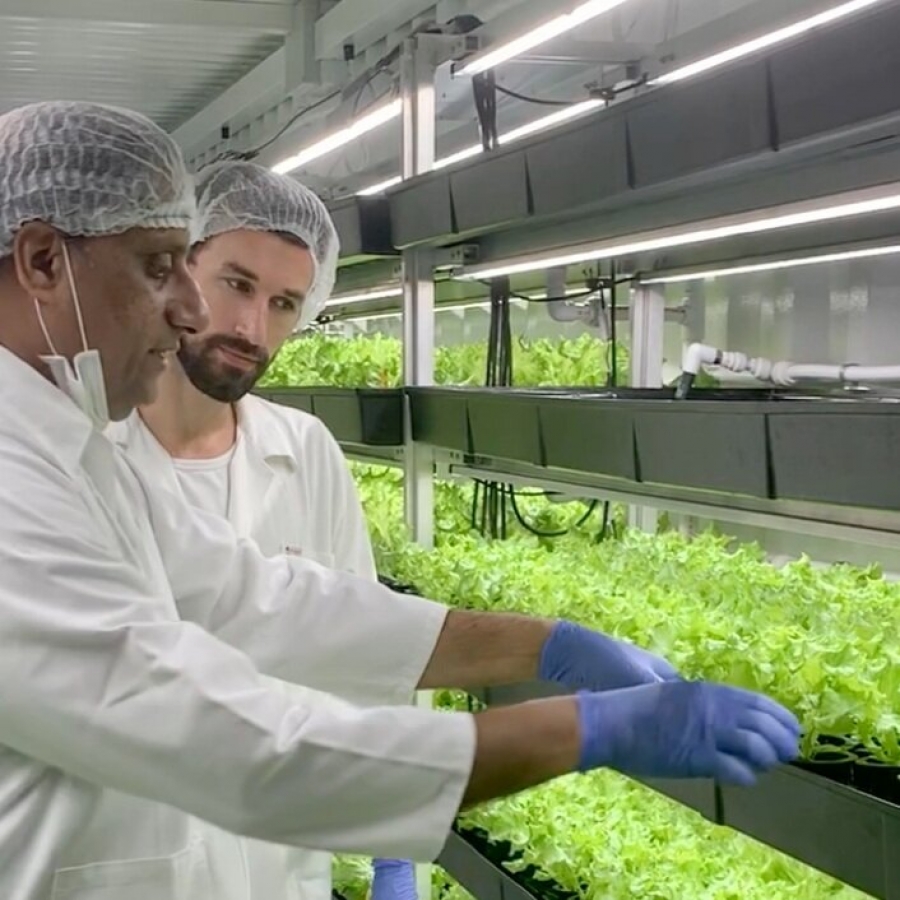 How Agritecture is Reinventing Itself for a (Post)-COVID World