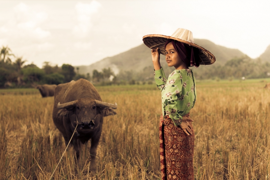 Towards practical and comparable monetary valuation of food system impacts