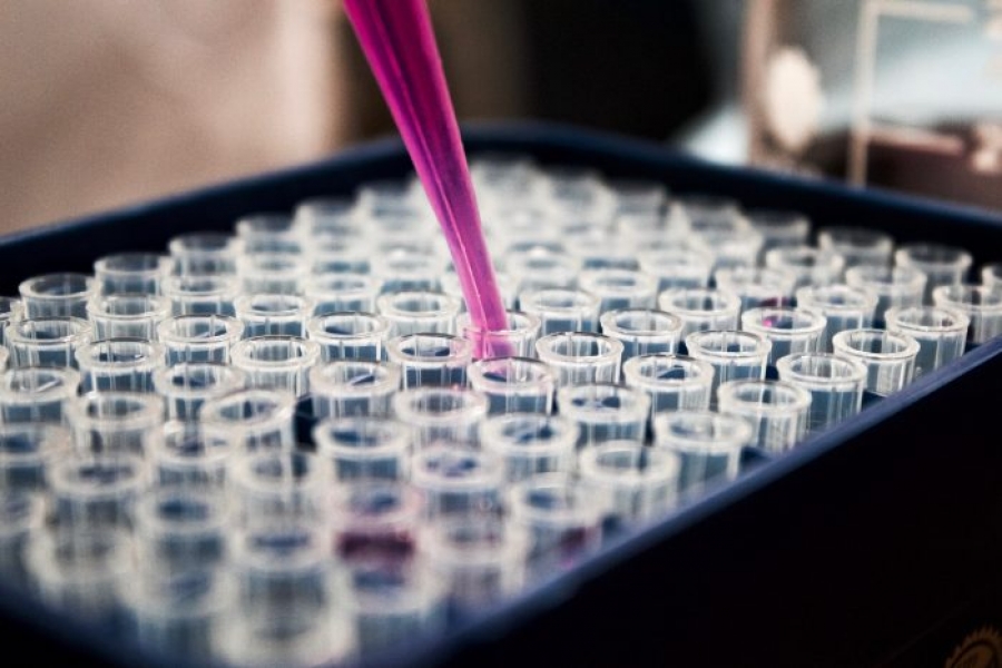Democratizing Biotech in Emerging Economies | Thought For Food