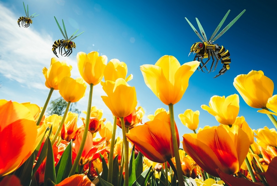 Webinar Ethical issues of robotics – WUR