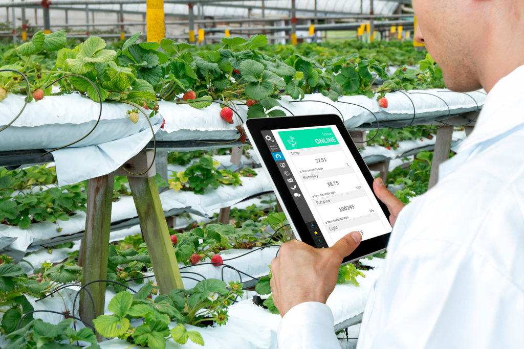 ¿Cómo innovan los líderes de la industria alimentaria?