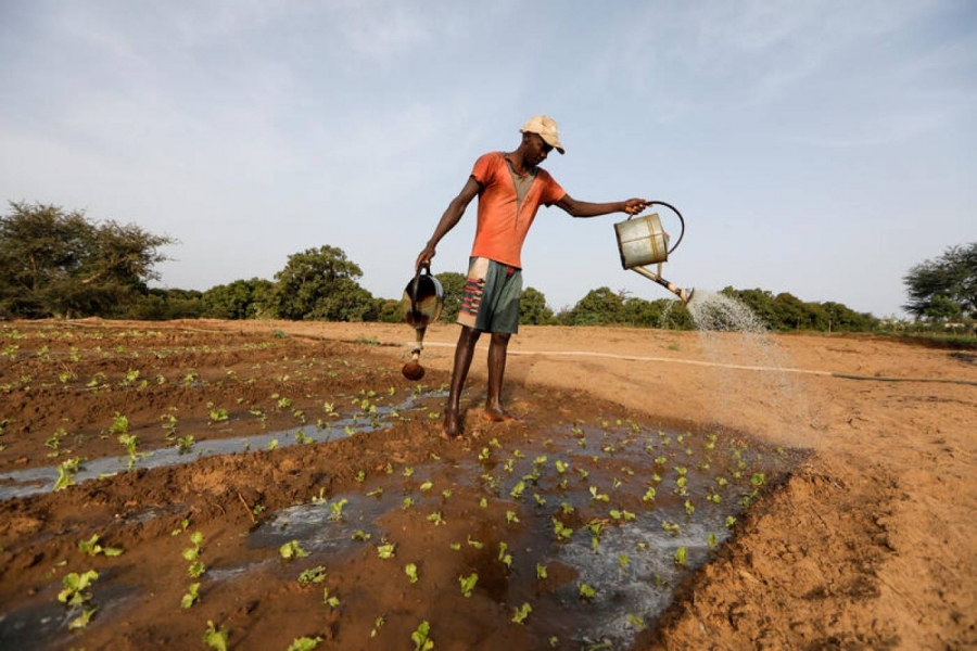 Investing in digital agriculture can help Africa beat the pandemic