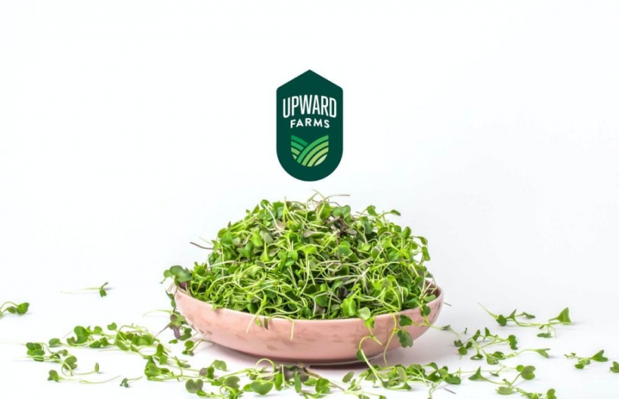 Aquaponics startup Seed & Roe snags $15m, rebrands to Upward Farms