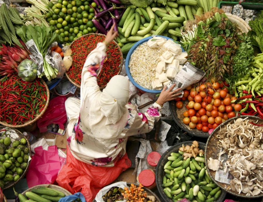 Análisis de la relación entre el cambio climático y la seguridad alimentaria