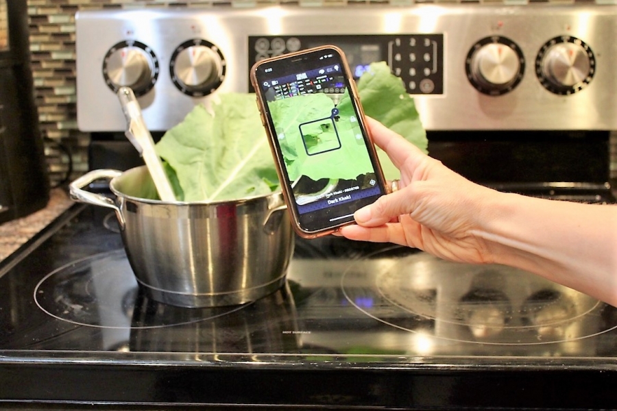 U of G Food Science Course Brings the Food Lab Home – U of G News