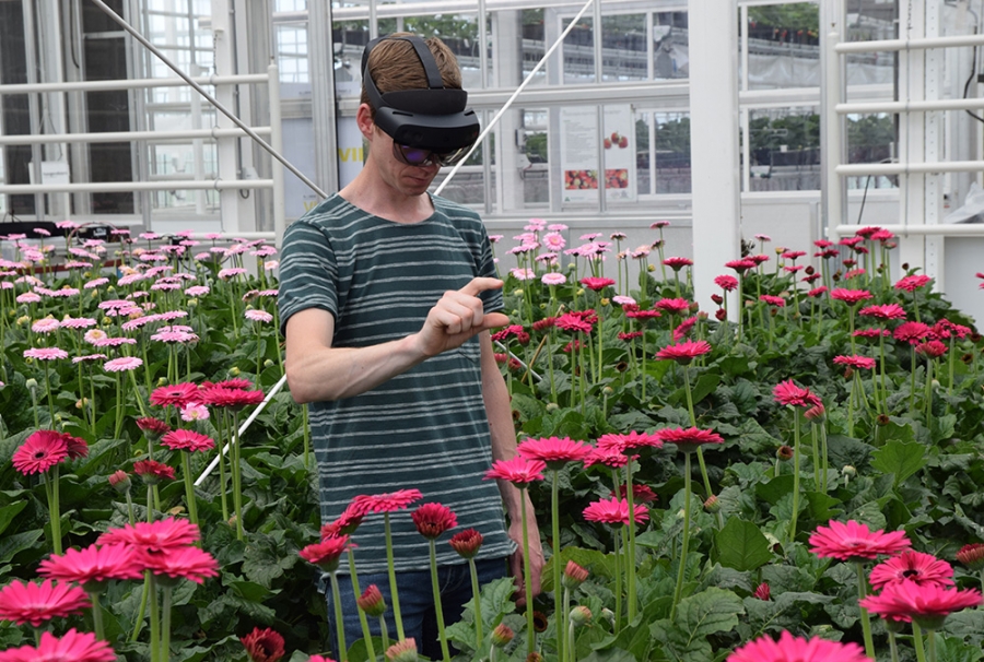 AR glasses tell if gerbera can be harvested – WUR