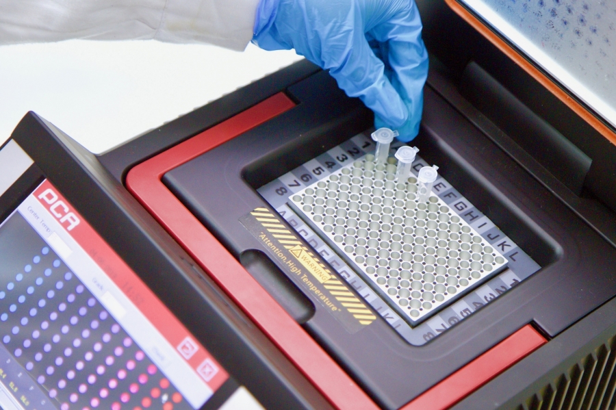 Empresa chilena desarrolla ingredientes en base a micoproteína que promete convertirse en la agricultura del futuro – Portal Innova