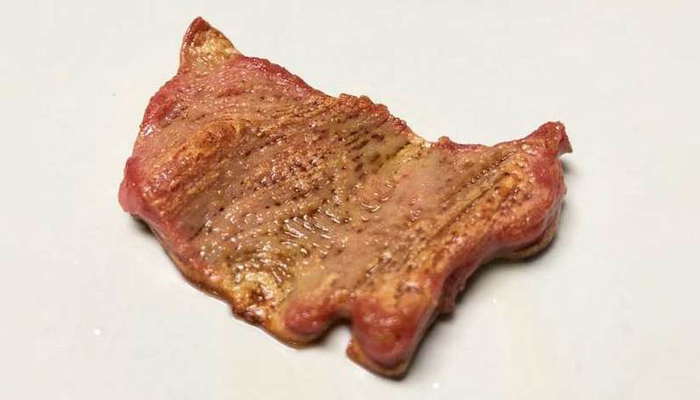 Inside The Quest to 3D Print a Perfectly Palatable Steak | Digital Trends