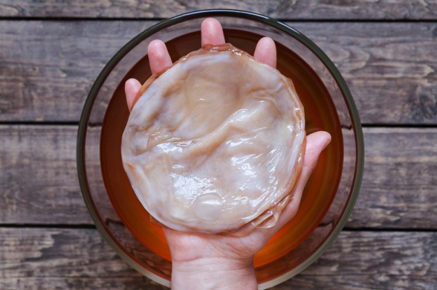 What is an ‘authentic’ kombucha? KBI publishes long-awaited code of practice, proposes industry seal