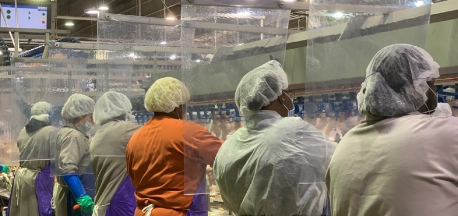 Tyson Foods speeds up plans for robot butchers during pandemic