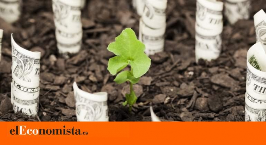 La sostenibilidad, clave en el mundo postcovid-19 – elEconomista.es