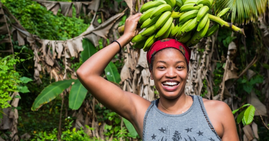 Blockchain Startup Agriledger Launches Ecosystem of Transparency and Opportunity For Haitian Farmers | Blockchain News
