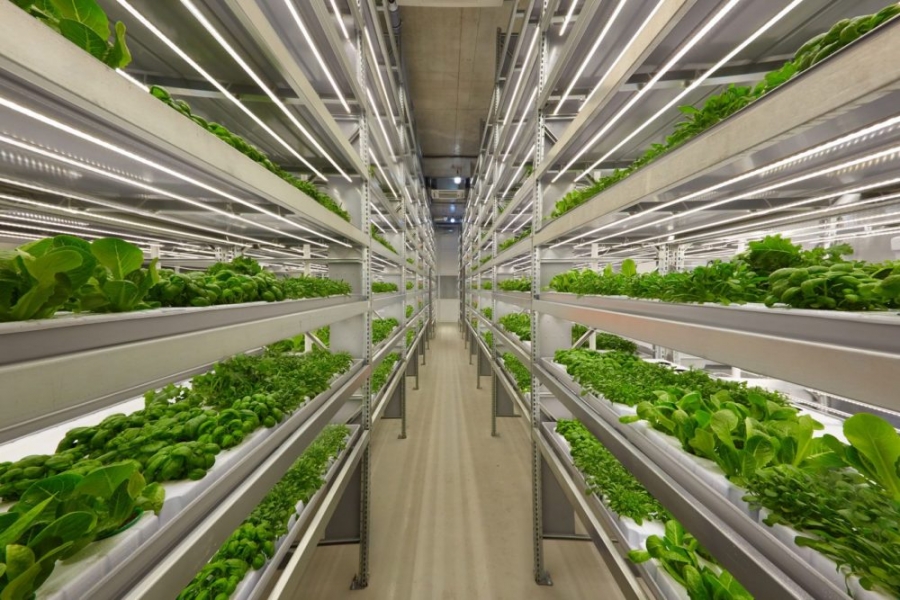 Vertical farming software startup iFarm raises $4m