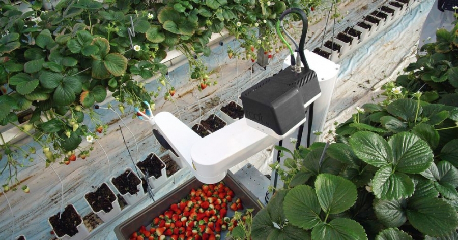 Root AI raises $7.2m from AgFunder, Calcanis to deploy its ‘cross-crop robot’ workforce