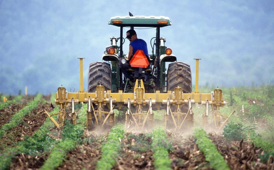 El paro en agricultura se reduce en agosto un 6,6%