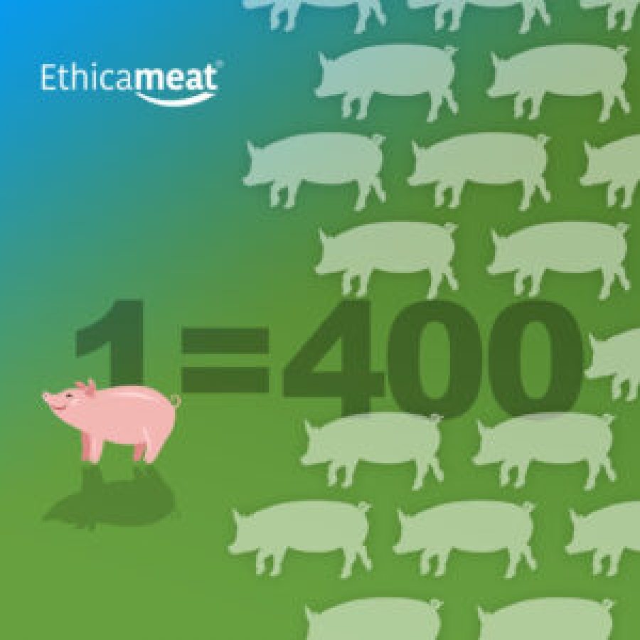 El cultivo celular ya está en los fogones – Ethicameat