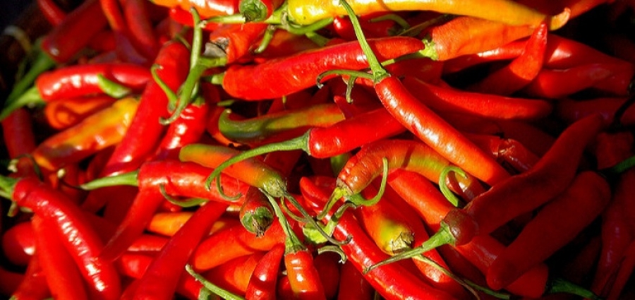Functional flavor and international flair top McCormick's latest trends