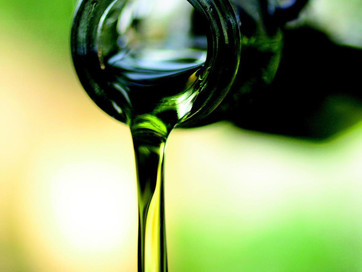Tecnología blockchain para rastrear el origen de un aceite de oliva – Diario de Gastronomía: Cocina, vino, gastronomía y recetas gourmet