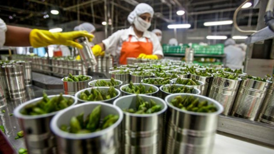 La Covid Desploma La Producción De Alimentación Y Bebidas