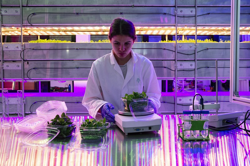 UK’s Vertical Future unveils new vertical farm with higher yield