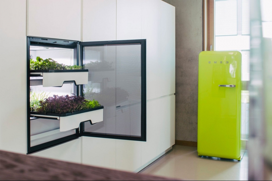 5 Ways European Entrepreneurs are Using Food Technologies During Covid-19