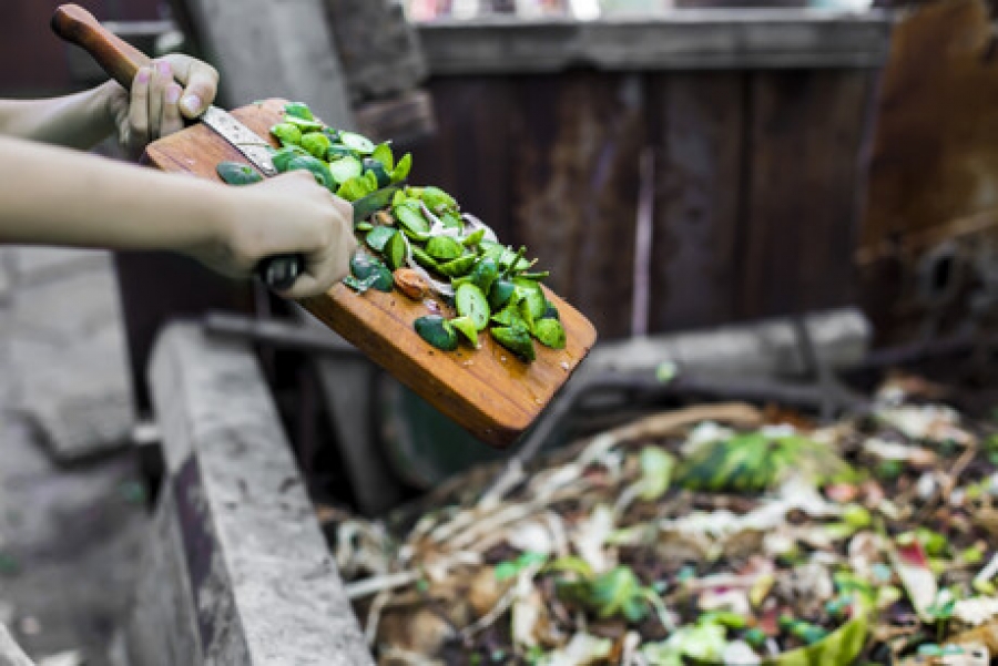 Selling food waste: upcycling matchmaking service launched