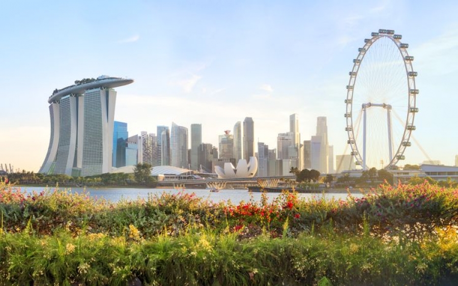 GROW Impact Accelerator invites applications from startups fostering food sustainability