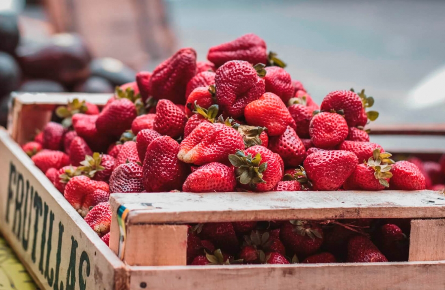 Cuatro jóvenes emprendedores crean una plataforma que une productores de alimentos autóctonos con el consumidor final – Agroinformacion