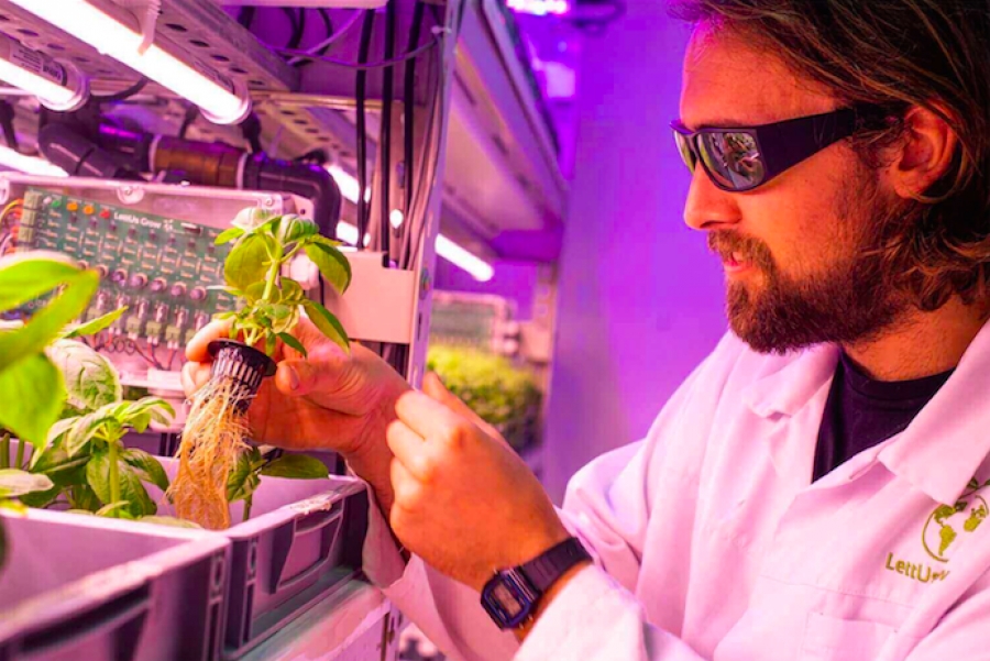 Startup of the Week: LettUs Grow – TechRound