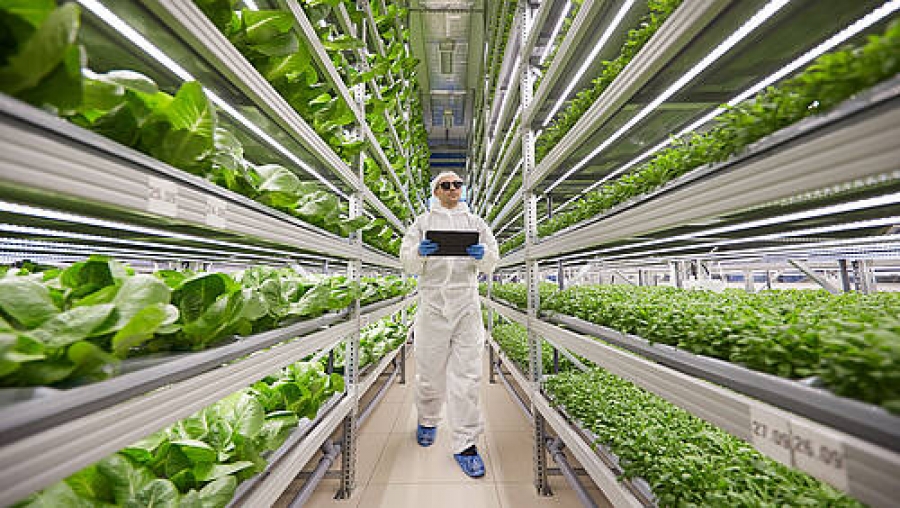 Yasai to establish first Zürich Vertical Farm