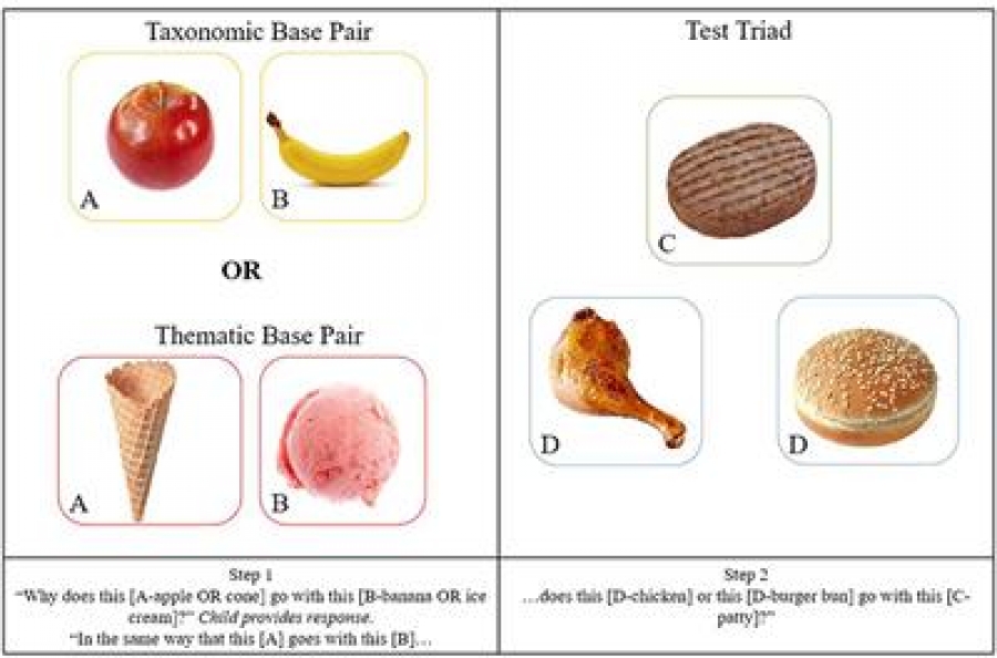 Frontiers | Strawberries and Cream: The Relationship Between Food Rejection and Thematic Knowledge of Food in Young Children | Psychology
