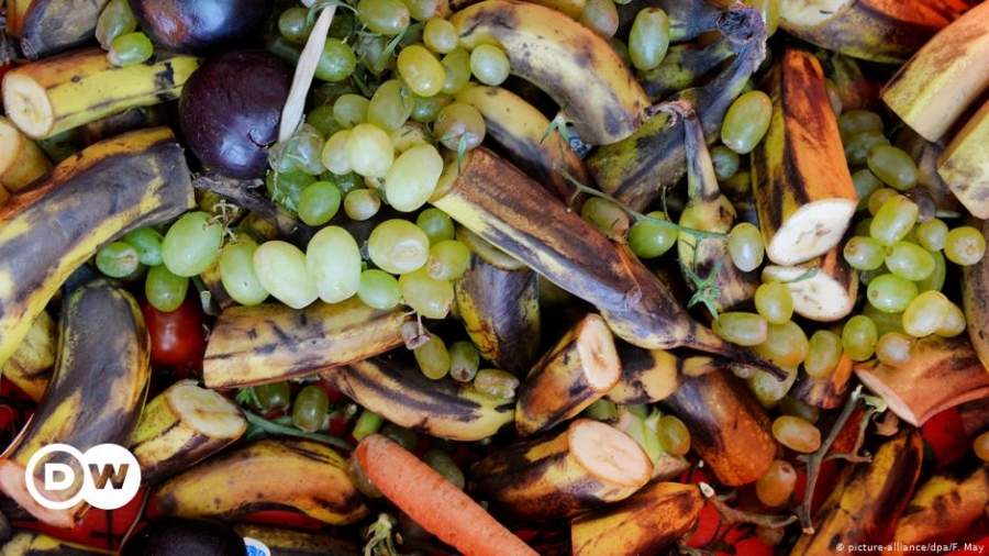 True scale of global food waste remains unclear | Environment| All topics from climate change to conservation | DW | 04.03.2021
